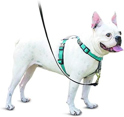 Amazon | [ ペットセーフ ] PetSafe 犬用 ハーネス デラックス
